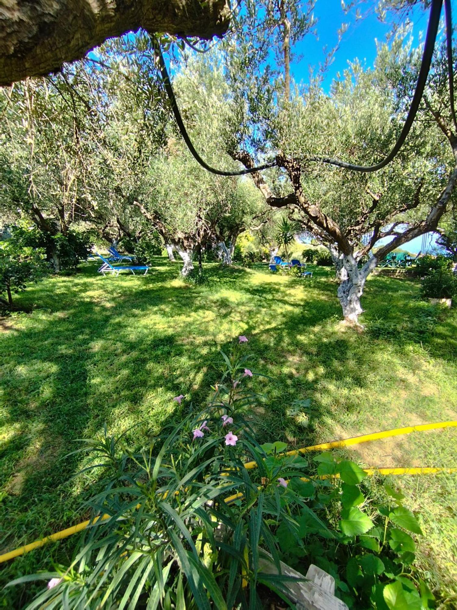 Agia Aikaterini *
